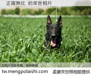 正確無比 來世的未來相片