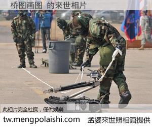 桥图画图 來世的未來相片