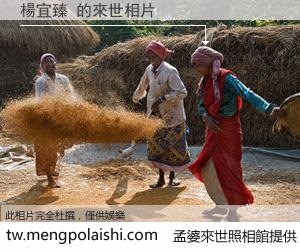 楊宜臻 來世的未來相片