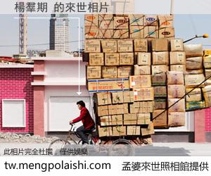 楊羣期 來世的未來相片