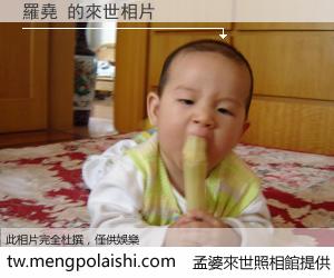 羅堯 來世的未來相片