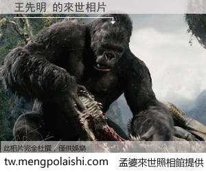 王先明 來世的未來相片