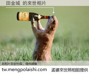 田金城 來世的未來相片