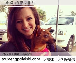 象棋 來世的未來相片