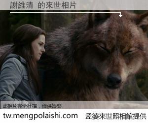 謝維清 來世的未來相片