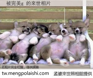 被完美g 來世的未來相片