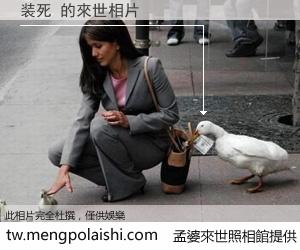 装死 來世的未來相片