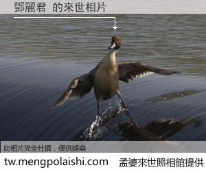 鄧麗君 來世的未來相片