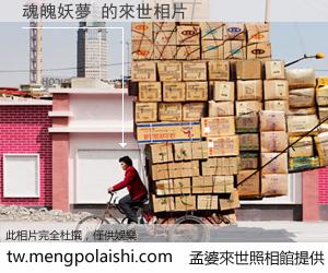 魂魄妖夢 來世的未來相片