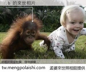 ,b 來世的未來相片