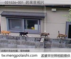 021526-001 來世的未來相片