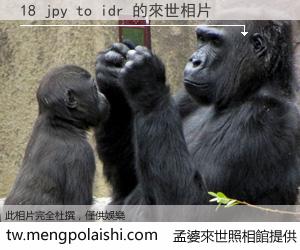 18 jpy to idr 來世的未來相片