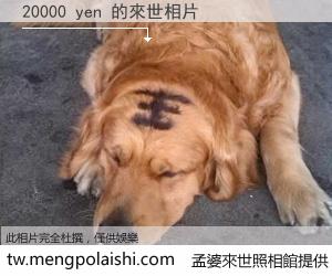 20000 yen 來世的未來相片