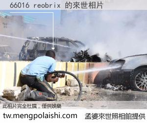 66016 reobrix 來世的未來相片