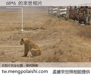 68*6 來世的未來相片