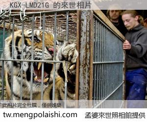 KGX-LMD21G 來世的未來相片