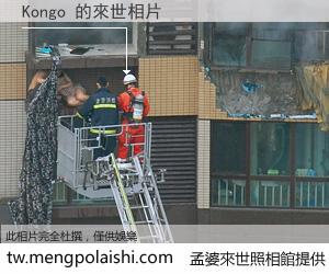 Kongo 來世的未來相片