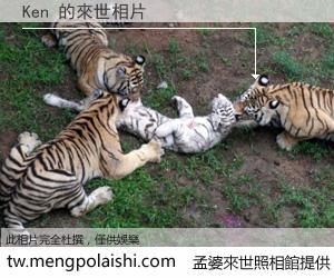 Ken 來世的未來相片