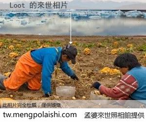 Loot 來世的未來相片
