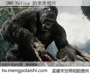 OMR Policy 來世的未來相片