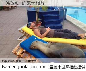 OW改動 來世的未來相片