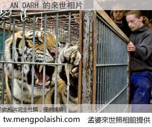 AN DARH 來世的未來相片