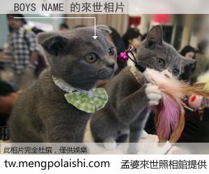 BOYS NAME 來世的未來相片