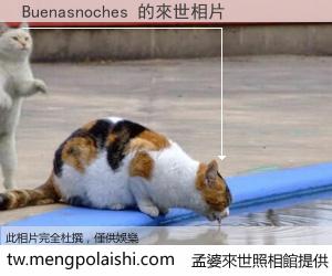 Buenasnoches 來世的未來相片