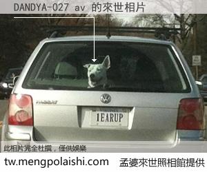 DANDYA-027 av 來世的未來相片