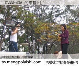 DVMM-436 來世的未來相片