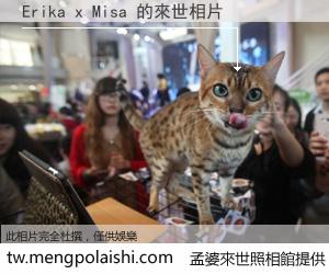 Erika x Misa 來世的未來相片