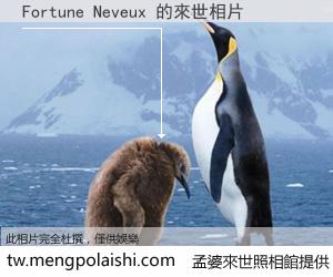 Fortune Neveux 來世的未來相片