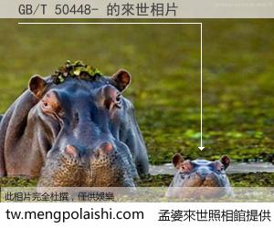 GB/T 50448- 來世的未來相片