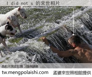 I did not s 來世的未來相片