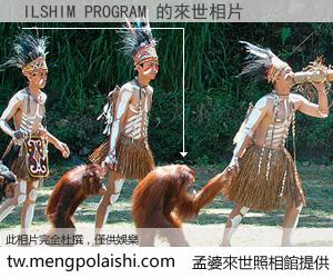 ILSHIM PROGRAM 來世的未來相片