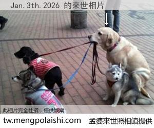 Jan.3th.2026 來世的未來相片