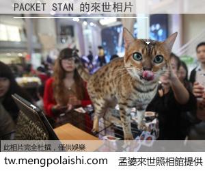 PACKET STAN 來世的未來相片