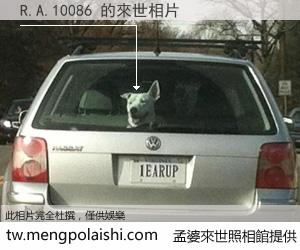 R.A.10086 來世的未來相片