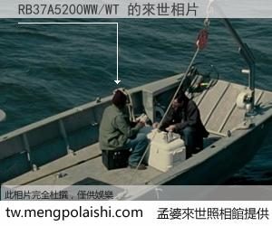 RB37A5200WW/WT 來世的未來相片