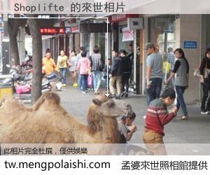 Shoplifte 來世的未來相片