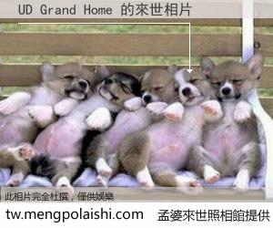 UD Grand Home 來世的未來相片