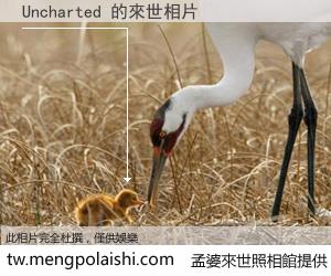 Uncharted 來世的未來相片