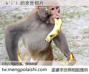 k'i'l 來世的未來相片