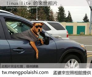 linux lite 來世的未來相片