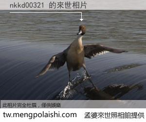 nkkd00321 來世的未來相片