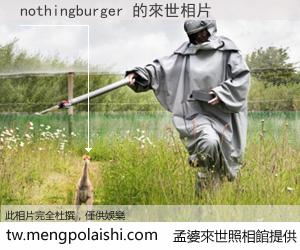 nothingburger 來世的未來相片