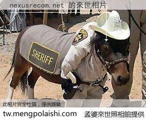 nexusrecom.net 來世的未來相片