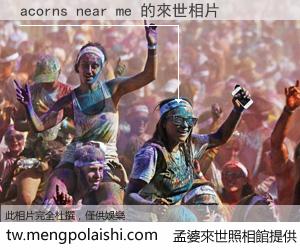 acorns near me 來世的未來相片