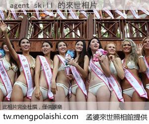 agent skill 來世的未來相片