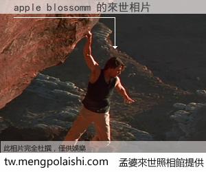apple blossomm 來世的未來相片